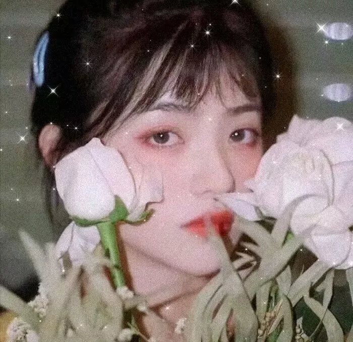 神枪少女第二季